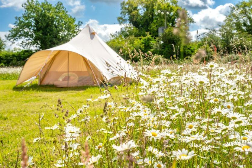 Red Clover At Blanca'S Bell Tents Villa Ringstead  Eksteriør billede