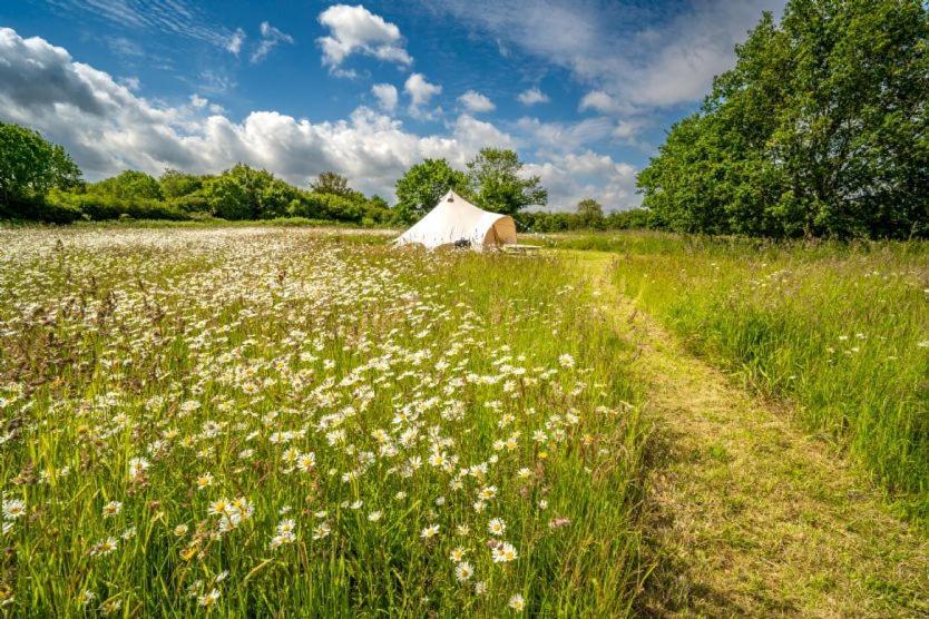 Red Clover At Blanca'S Bell Tents Villa Ringstead  Eksteriør billede